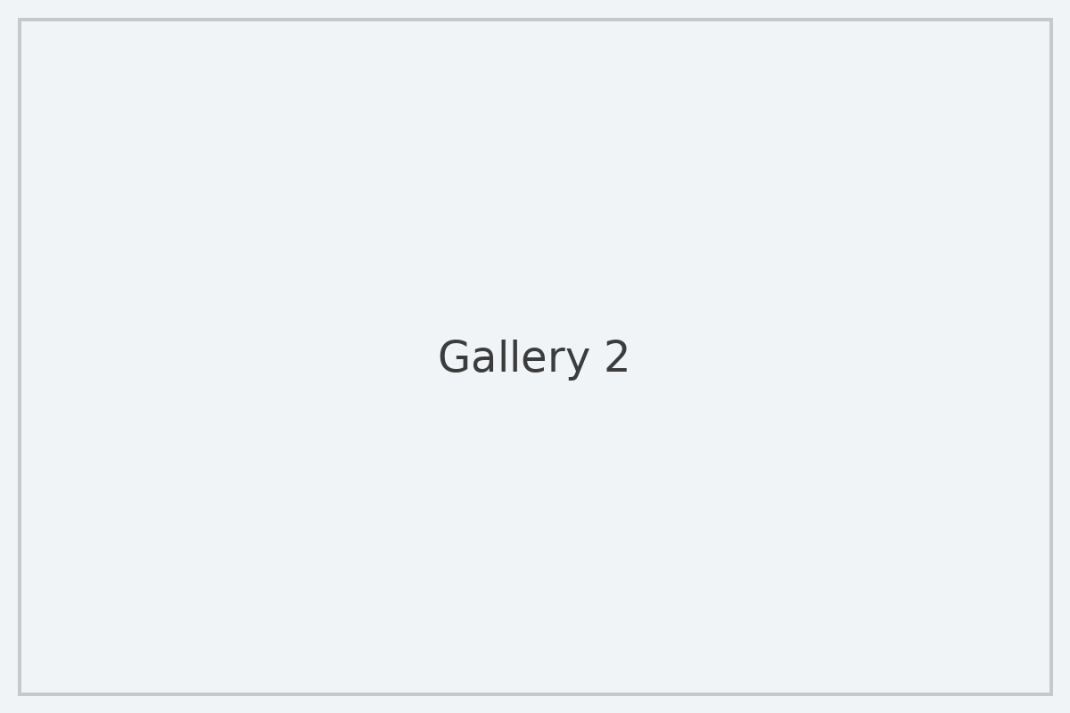 Gallery image 2