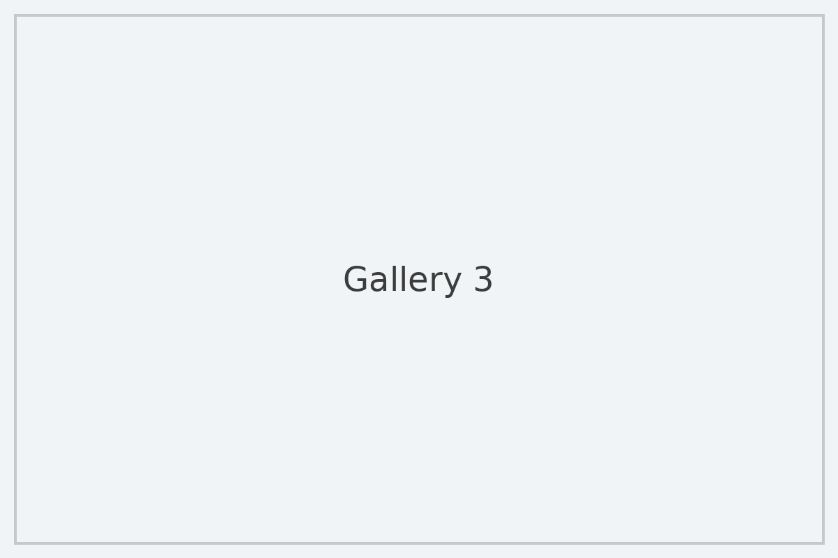 Gallery image 3